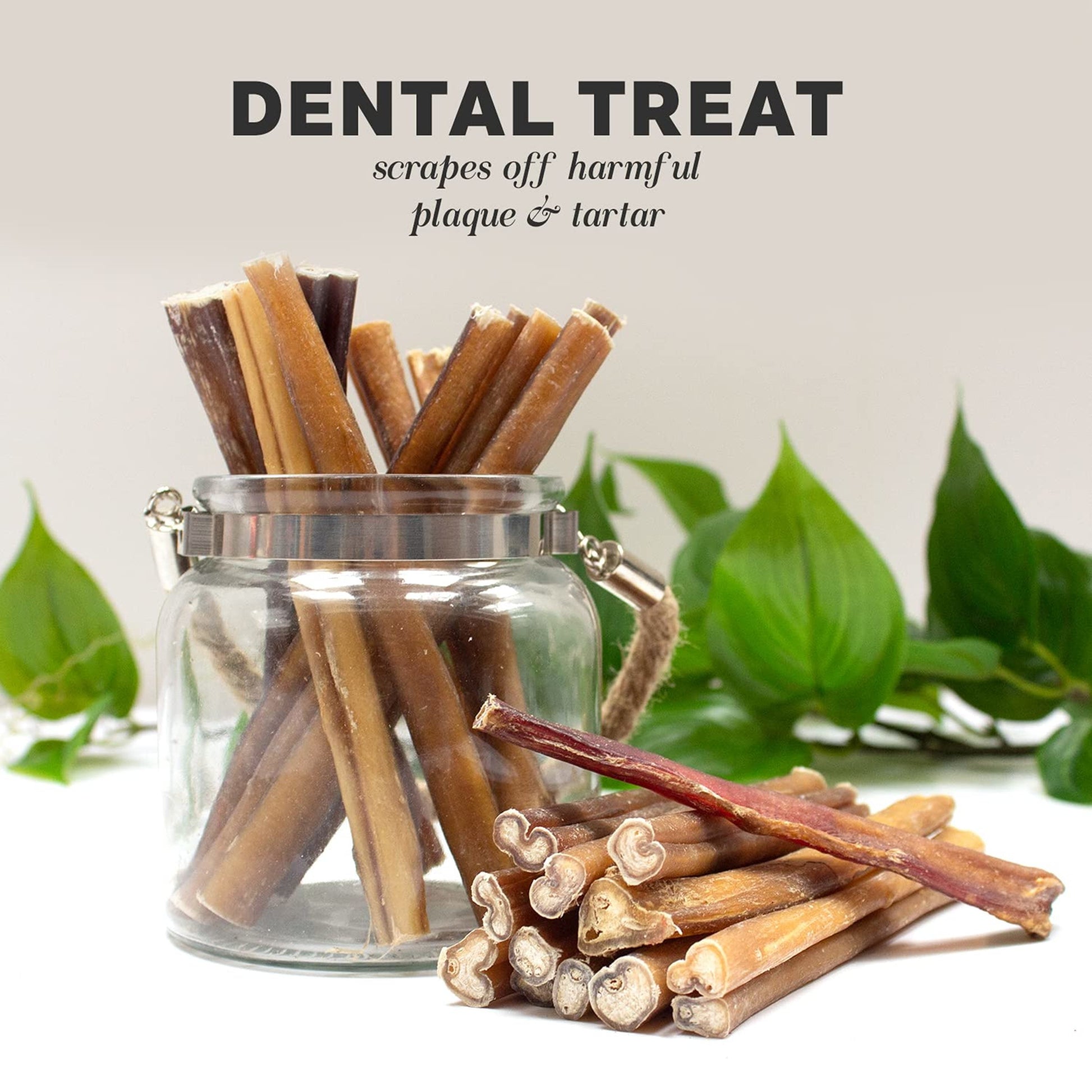 Odor Free Bully Sticks for Dogs - Regular 6", 10 Pack