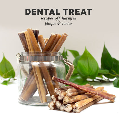 Odor Free Bully Sticks for Dogs - Regular 6", 10 Pack
